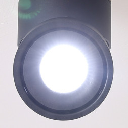 Точечный Светильник С Поворотным Механизмом Agenda Wood