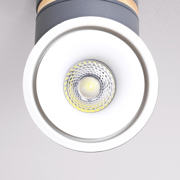 Точечный Светильник С Поворотным Механизмом Agenda Wood