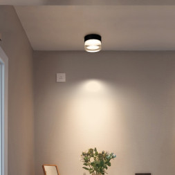 Серия Точечных Светодиодных Светильников С Цветным Корпусом И Массивным Рассеивателем Fest