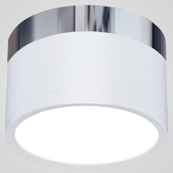 Точечный Светильник С Матовым Светофильтром И Глянцевым Основанием Fog Brill