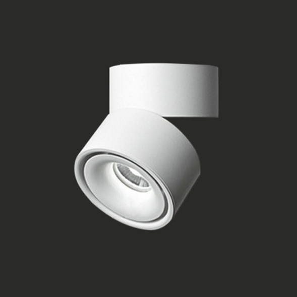 Потолочный Светильник Agenda White 10W