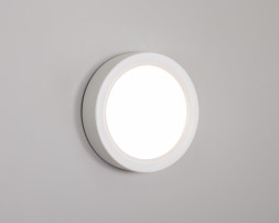 Светильник настенно-потолочный MC245C