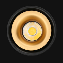 Потолочный Светильник Agenda White+Gold 7W