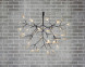 Люстра Heracleum D72