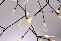 Люстра Heracleum D98