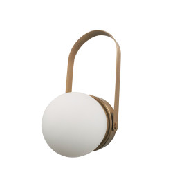 Светильник настольно-настенный Carrie