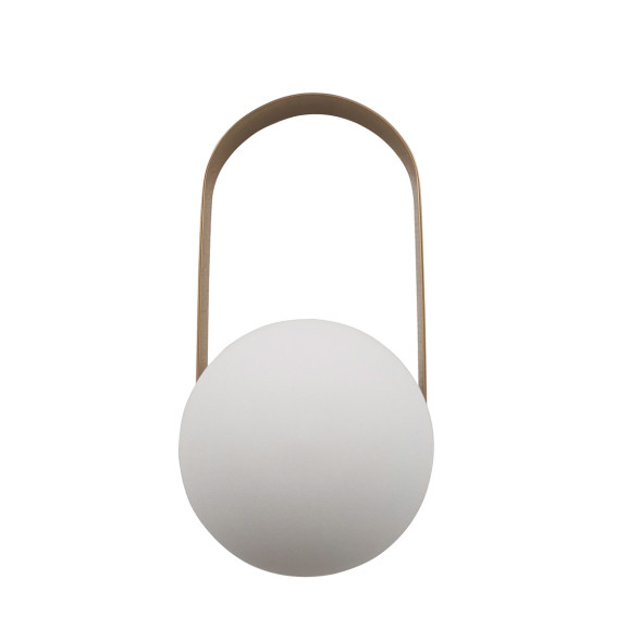 Светильник настольно-настенный Carrie