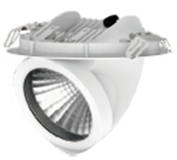 Светильник точечный D001-COB4-25W