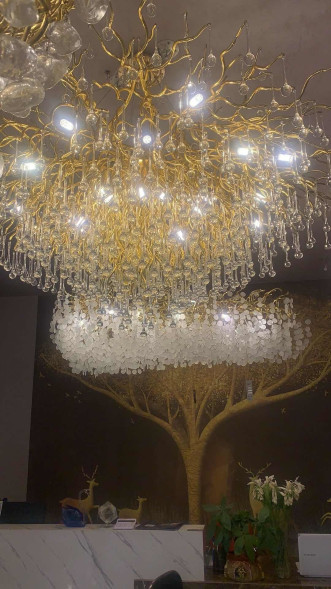 Люстра BIJOUT D D130