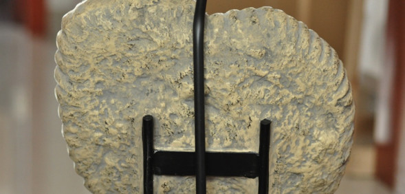 Настольная Лампа Раковина