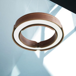 Подвесной Кольцевой Светильник Range 1 D55 Light Wood