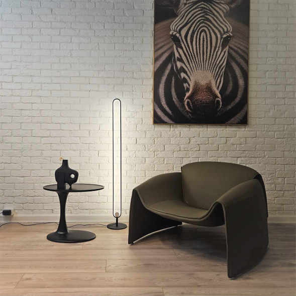 Торшер Oval Led Floor Lamp