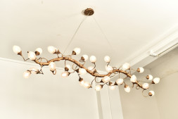 Люстра Lotus L120
