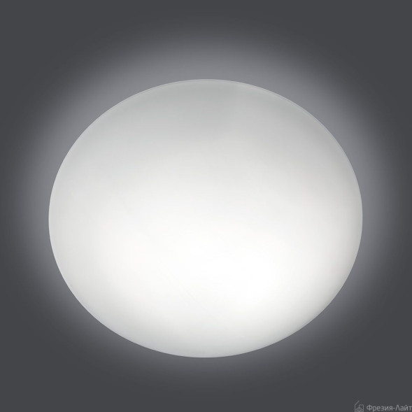 1036 Шелли 2  Ø360 светильник  настенно-потолочный