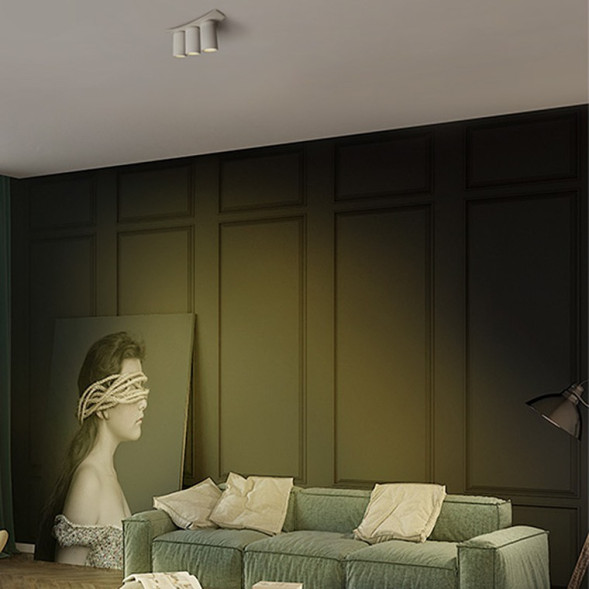 Потолочный Светильник D Trio Белый